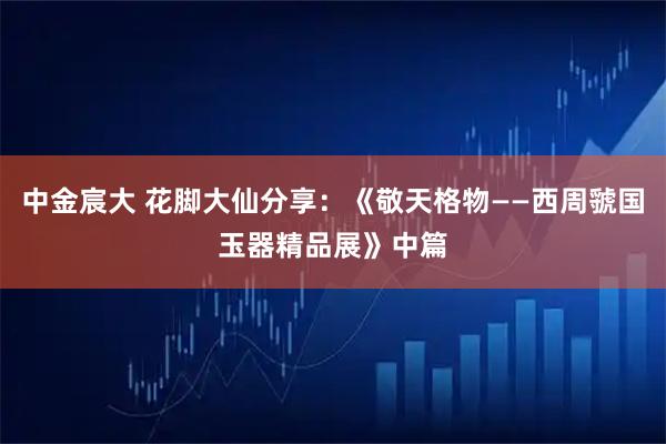中金宸大 花脚大仙分享：《敬天格物——西周虢国玉器精品展》中篇